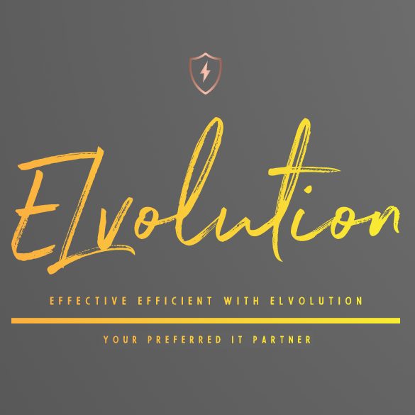ELvolution – IT Company